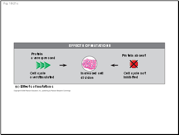 Fig. 18-21c