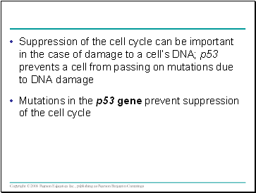 Suppression of the cell cycle can be important in the case of damage to a cells DNA; p53 prevents a cell from passing on mutations due to DNA damage