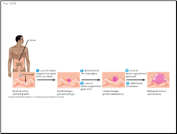 Fig. 18-22