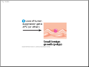 Fig. 18-22b