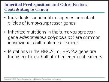 Inherited Predisposition and Other Factors Contributing to Cancer