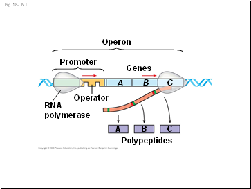 Fig. 18-UN1