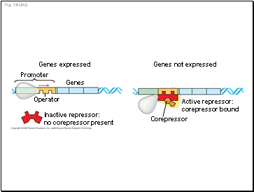 Fig. 18-UN2