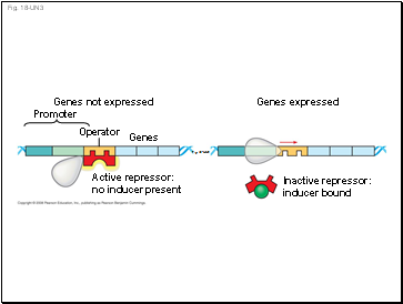 Fig. 18-UN3