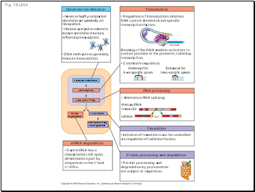 Fig. 18-UN4