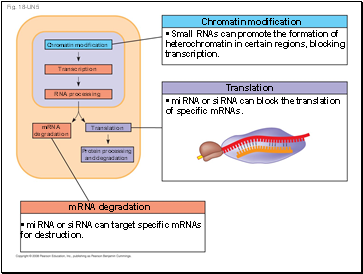 Fig. 18-UN5