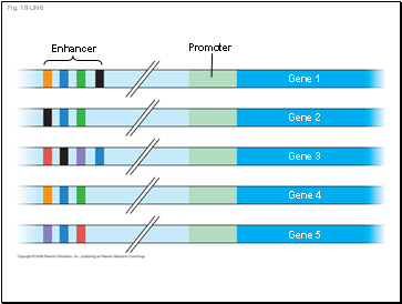 Fig. 18-UN6