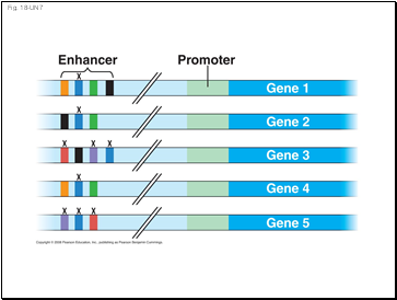 Fig. 18-UN7