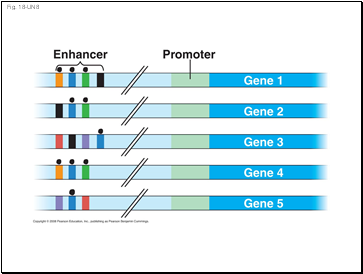 Fig. 18-UN8