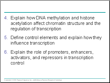 Explain how DNA methylation and histone acetylation affect chromatin structure and the regulation of transcription