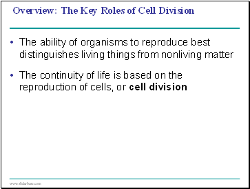 The Cell Cycle