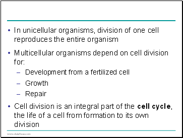 Concept 36.1: Land plants acquire resources both above and below ground