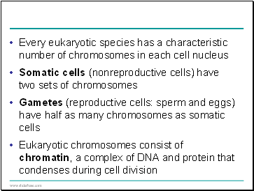 Plant cells use energy stored in the proton gradient and membrane potential to drive the transport of many different solutes.