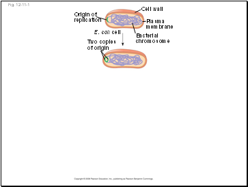 Adhesion by hydrogen bonding