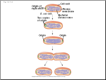 Stomata help regulate the rate of transpiration