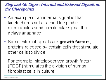 The Symplast is highly dynamic - Plasmodesmata - Continuously Changing Structures