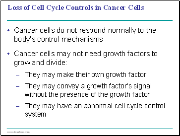 Explain: Root Hairs Short Distance Transport of Water to Stele: Xylem 