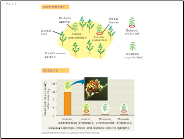 Sensory receptors transduce stimulus energy and transmit signals to the CNS, central nervous system