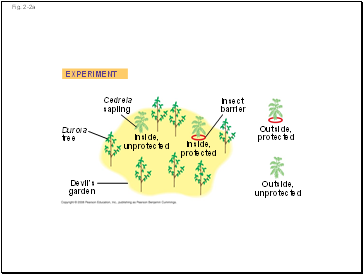 Sensory Pathways