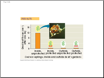 Sensory Reception and Transduction