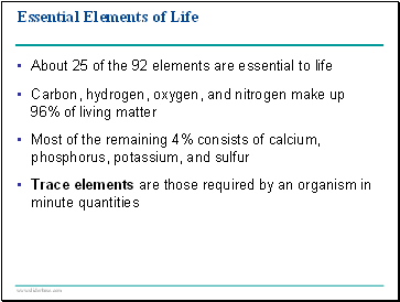 Mechanoreceptors