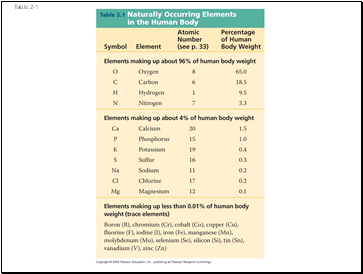 Sensory receptors in human skin