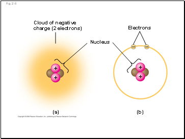 Sensing Gravity and Sound in Invertebrates