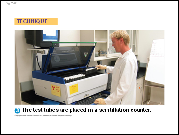 These vibrations create pressure waves in the fluid in the cochlea that travel through the vestibular canal.