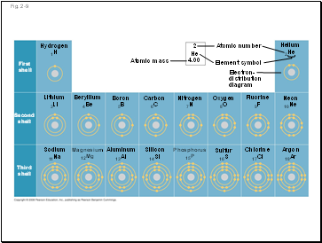 The lateral line system in a fish has mechanorecptors that sense water movement