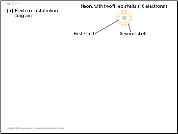 Smell in Humans