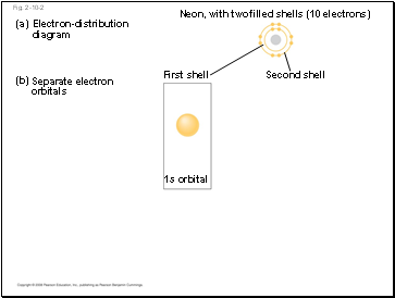 Smell in humans