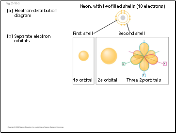 Similar mechanisms underlie vision throughout the animal kingdom