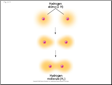 Single-lens eyes are found in some jellies, polychaetes, spiders, and many molluscs.