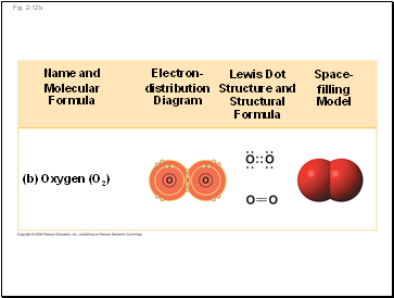 The human retina contains two types of photoreceptors: rods and cones