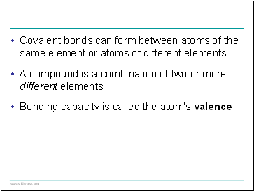 Processing of Visual Information