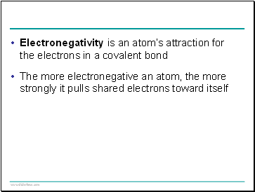 Neural pathways for vision