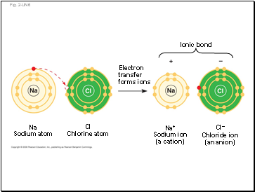 Types of Locomotion