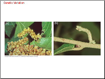 Genetic Variation