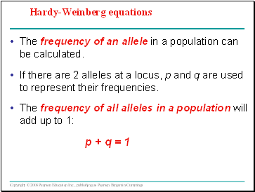 Hardy-Weinberg equations