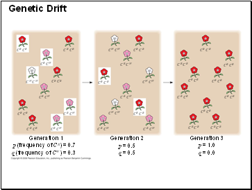 Genetic Drift