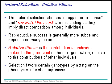 Natural Selection: Relative Fitness