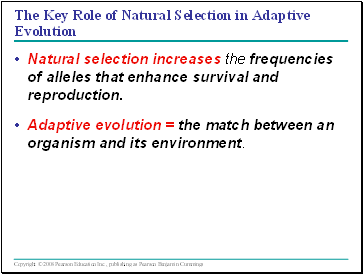 The Key Role of Natural Selection in Adaptive Evolution