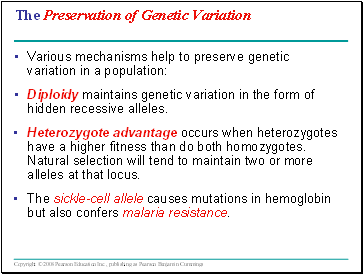 The Preservation of Genetic Variation
