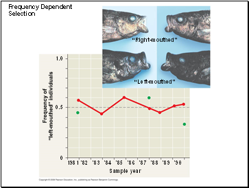 Frequency Dependent Selection