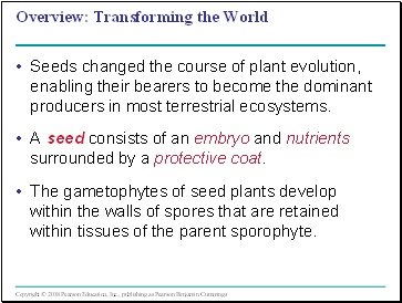 The Evolution of Seed Plants