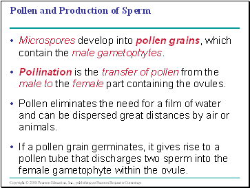 Pollen and Production of Sperm
