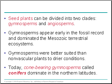 Seed plants can be divided into two clades: gymnosperms and angiosperms.