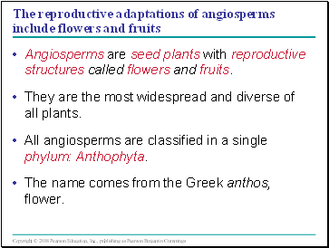 The reproductive adaptations of angiosperms include flowers and fruits