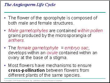 The Angiosperm Life Cycle