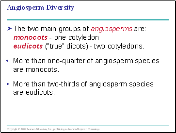 Angiosperm Diversity